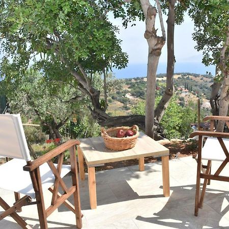 Philip'S Holiday House نيو تشوريو المظهر الخارجي الصورة