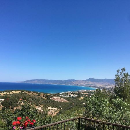 Philip'S Holiday House نيو تشوريو المظهر الخارجي الصورة