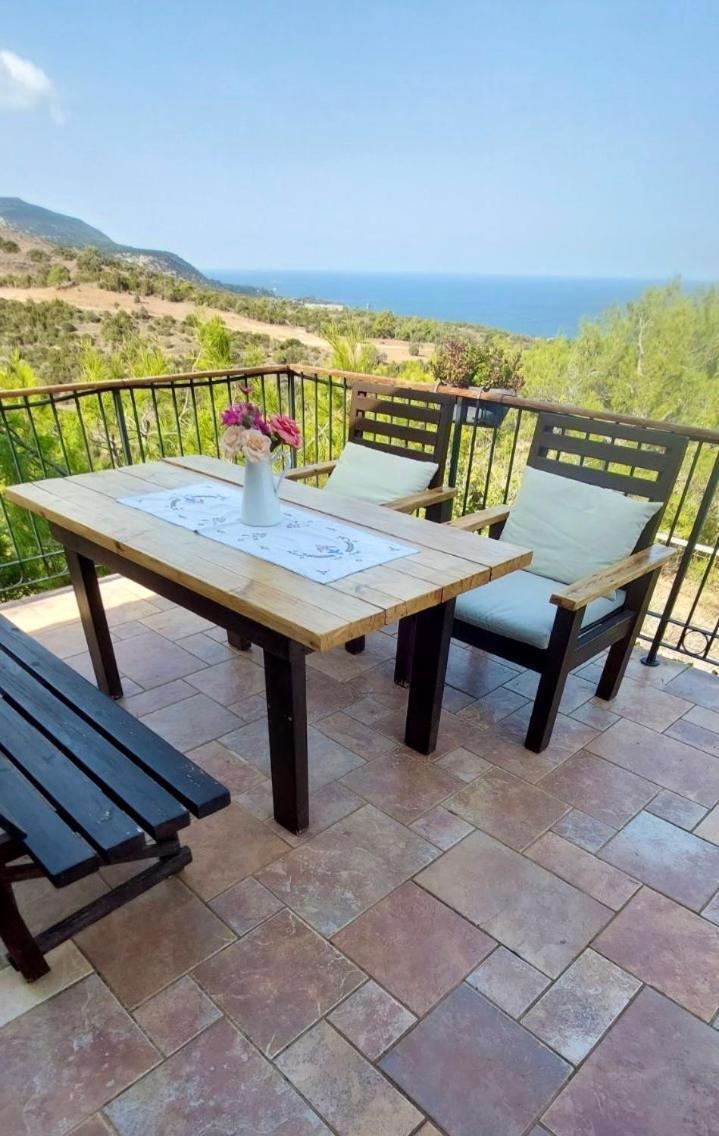 Philip'S Holiday House نيو تشوريو المظهر الخارجي الصورة