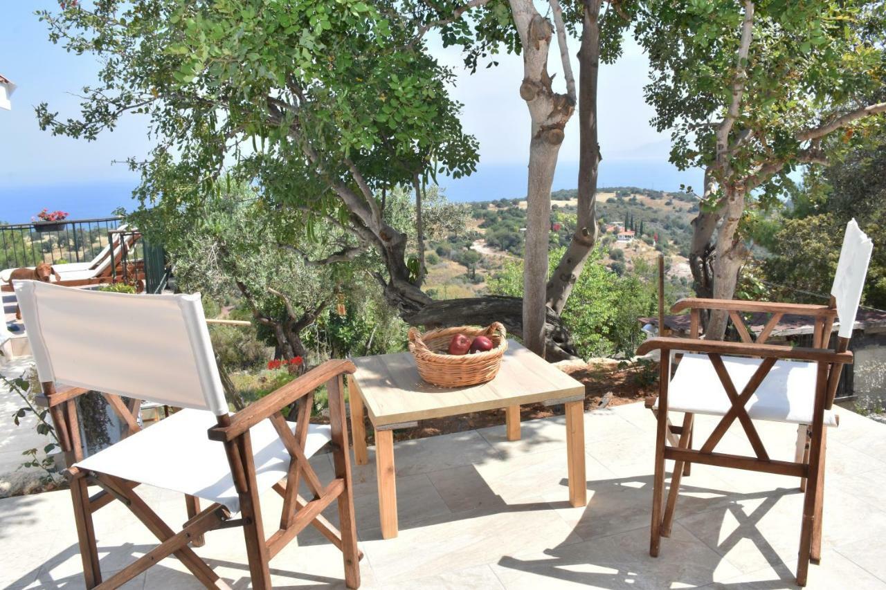 Philip'S Holiday House نيو تشوريو المظهر الخارجي الصورة