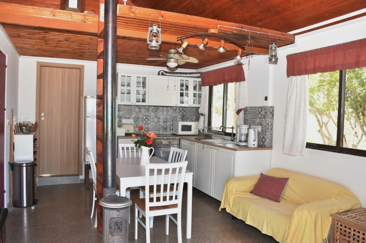 Philip'S Holiday House نيو تشوريو المظهر الخارجي الصورة