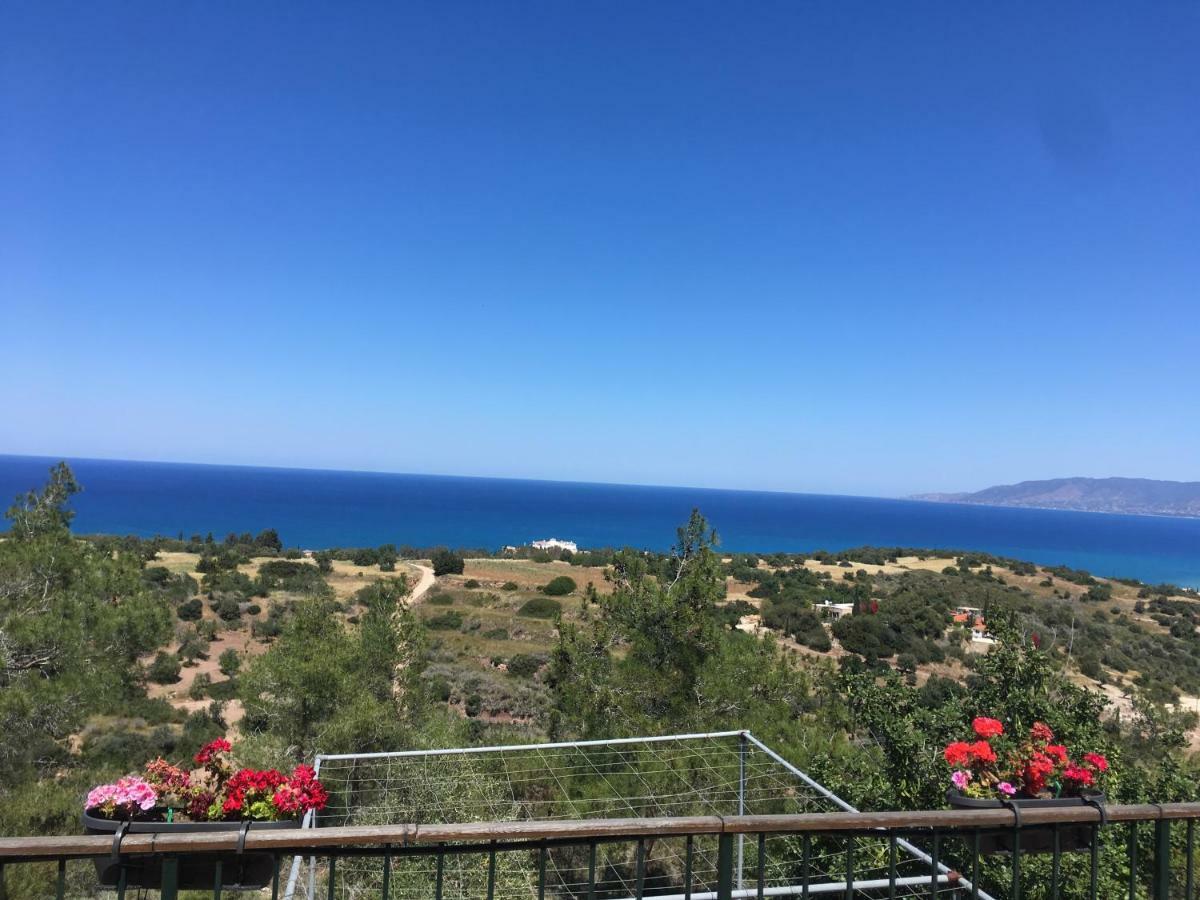 Philip'S Holiday House نيو تشوريو المظهر الخارجي الصورة