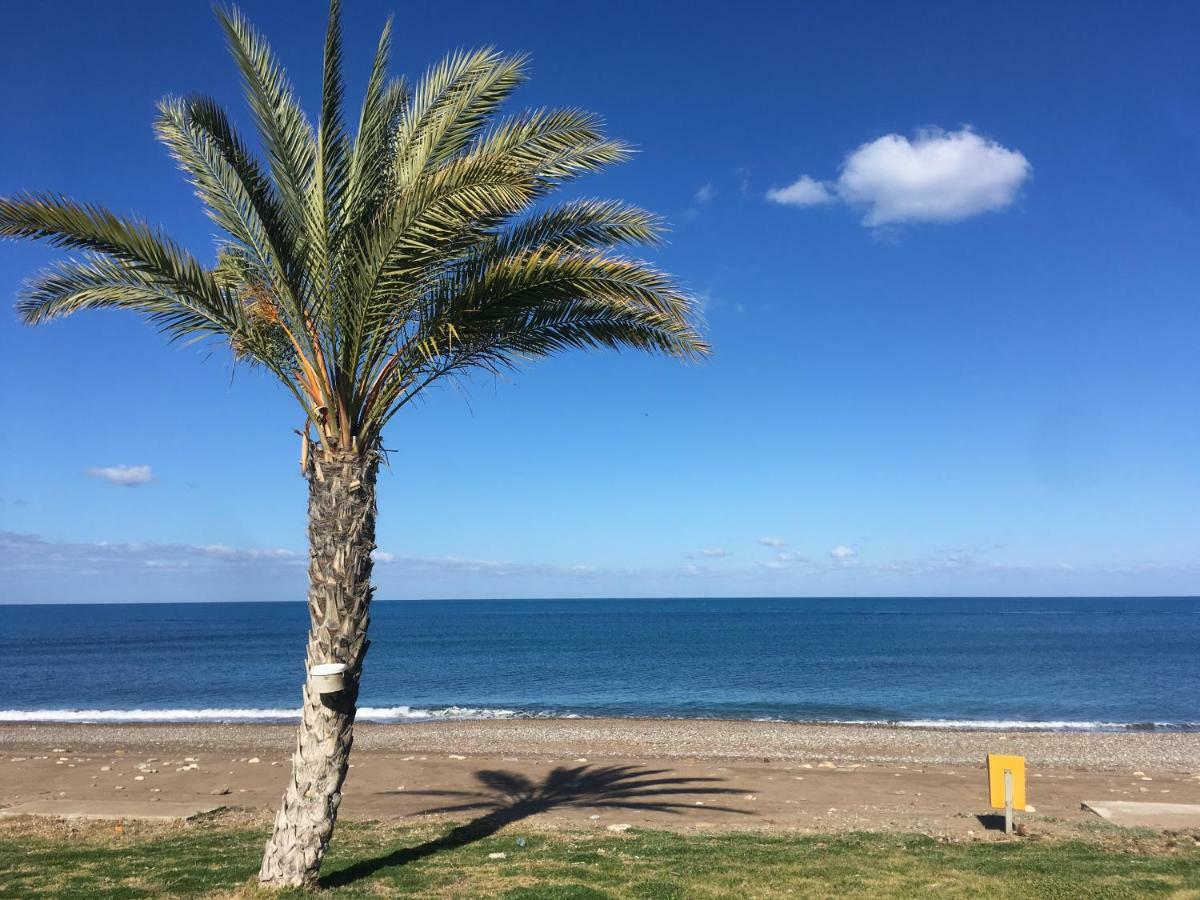 Philip'S Holiday House نيو تشوريو المظهر الخارجي الصورة