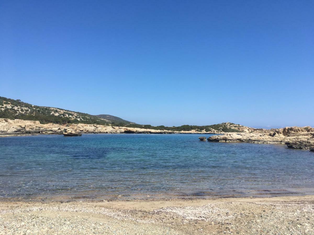 Philip'S Holiday House نيو تشوريو المظهر الخارجي الصورة