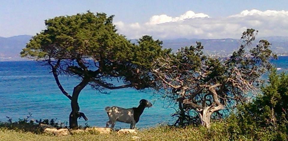 Philip'S Holiday House نيو تشوريو المظهر الخارجي الصورة
