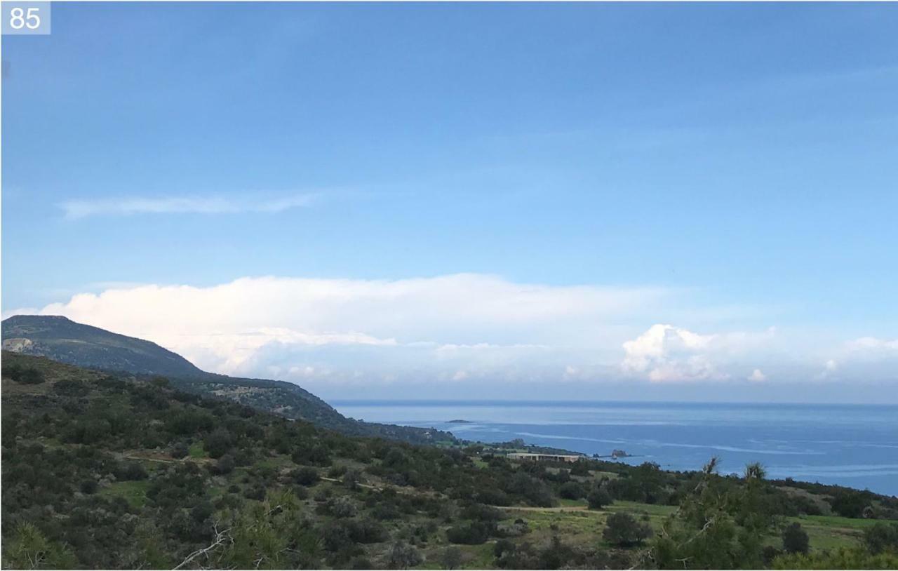 Philip'S Holiday House نيو تشوريو المظهر الخارجي الصورة